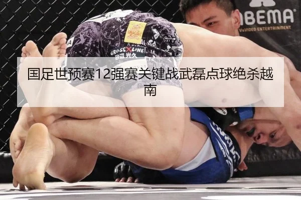 国足世预赛12强赛关键战武磊点球绝杀越南